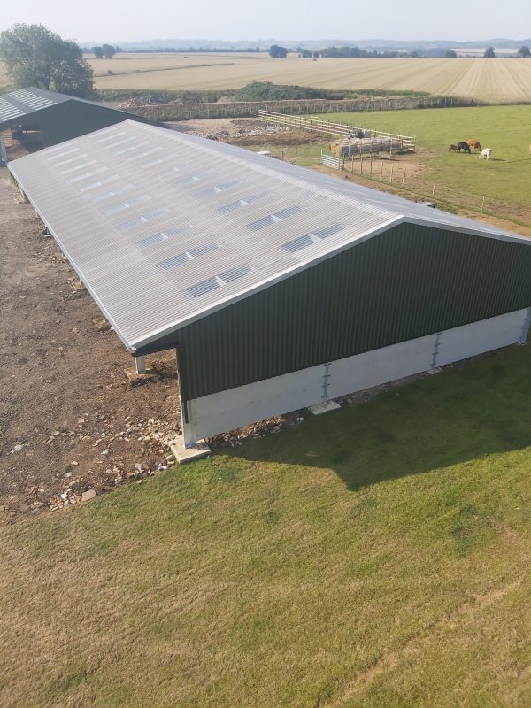 Livestock shed with 2m high panels in Hertfordshire